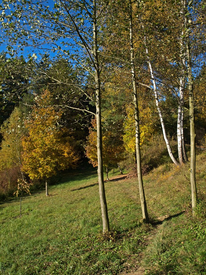 AA205076.jpg - U Valašských Klobouk - 20. 10. 2012